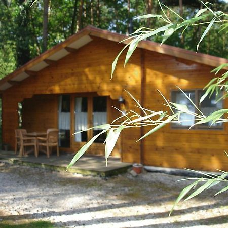 Bospark De Brenkberg Schinveld Ngoại thất bức ảnh