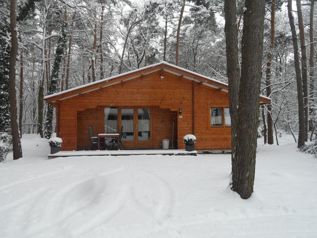 Bospark De Brenkberg Schinveld Ngoại thất bức ảnh