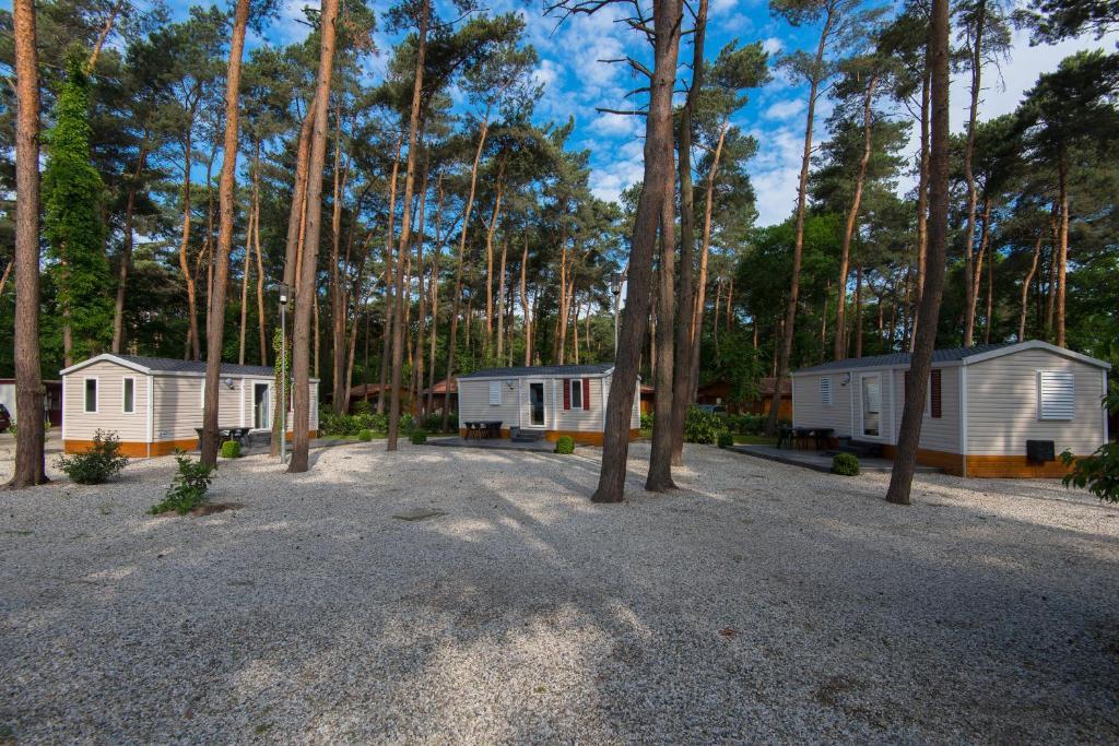 Bospark De Brenkberg Schinveld Phòng bức ảnh